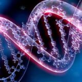 Epigenetik | Du bist nicht Opfer deiner Gene