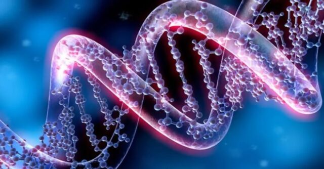 Epigenetik – Wie dein Lebensstil deine Gene steuert